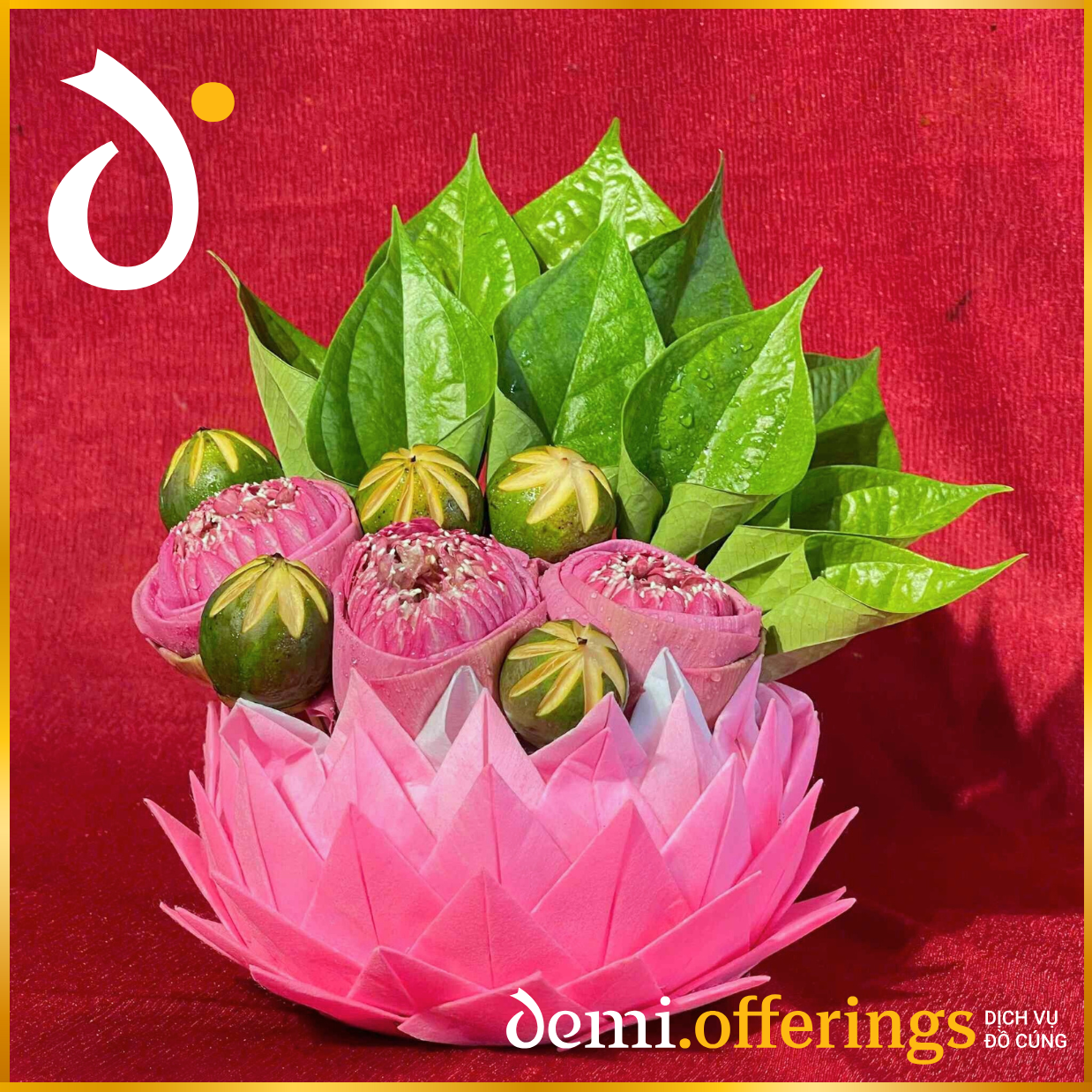 KHUNG DEMI ĐỒ CHHHÚNG (12)